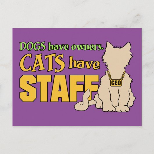 CATS HAVE STAFFはがき ポストカード (正面)