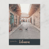 Cats in Douma Lebanon ポストカード (正面)