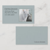 Cats in Sunny Window名刺 名刺 (正面/裏面)
