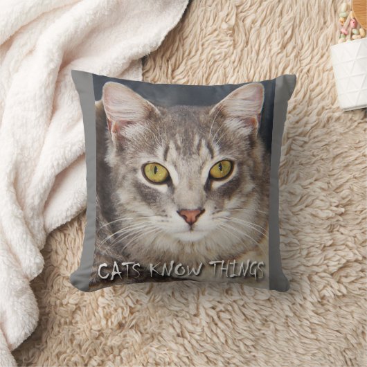 CATS KNOW THINGS  クッション (ブランケット)