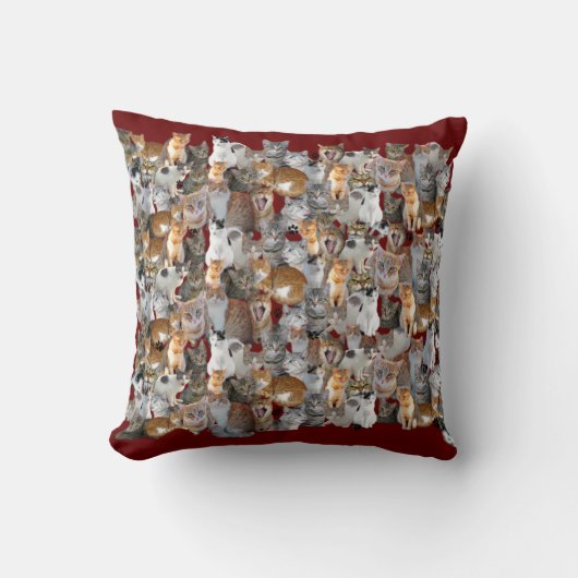 Cats meeting point クッション (正面)