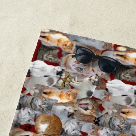 Cats meeting point ビーチタオル (インサイチュ)