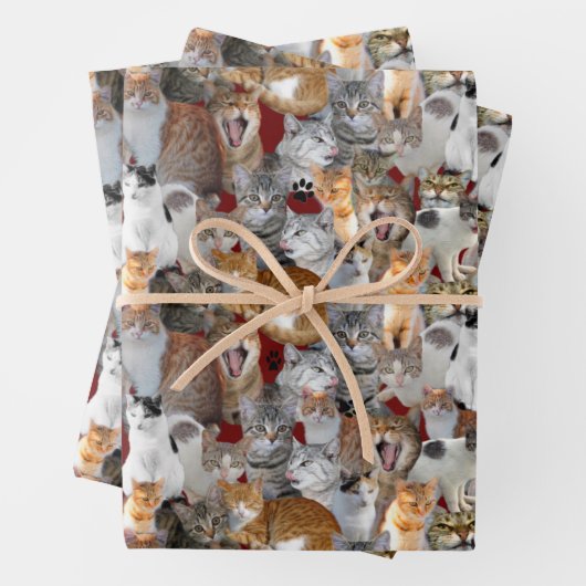 Cats meeting point - collage ラッピングペーパーシート (インサイチュ)