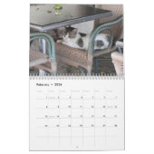 Cats of Cyprus 2026 B by PaphosLife Calendar カレンダー (2月 2026)
