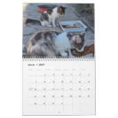 Cats of Cyprus 2026 B by PaphosLife Calendar カレンダー (3月 2027)