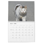 Cats of Cyprus by PaphosLife Calendar カレンダー (3月 2026)