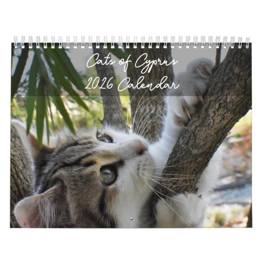 Cats of Cyprus by PaphosLife Calendar カレンダー (カバー)