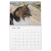 Cats of Cyprus by PaphosLife Calendar カレンダー (1月 2027)