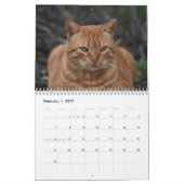 Cats of Cyprus by PaphosLife Calendar カレンダー (2月 2027)