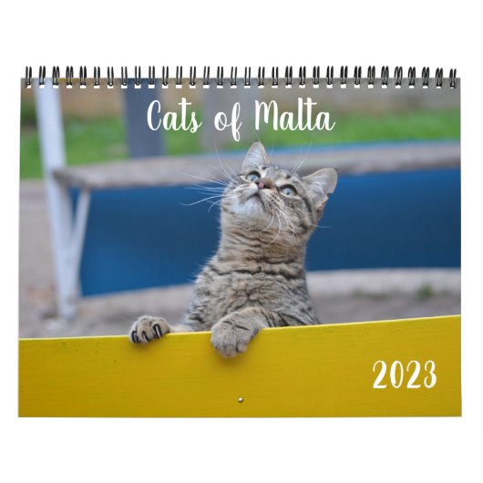 Cats of Malta - 2023年カレンダー カレンダー (カバー)