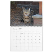 Cats of Vermont 2024 カレンダー (2月 2027)