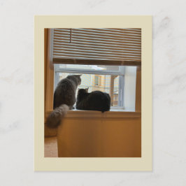 Cats on Windowはがき ポストカード