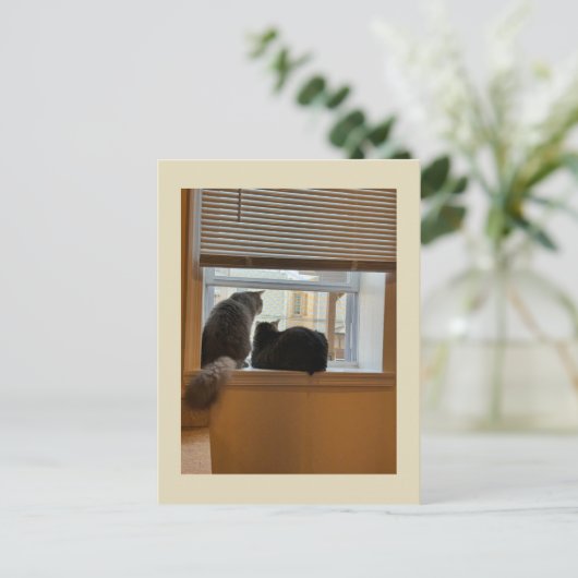 Cats on Windowはがき ポストカード (スタンド正面)