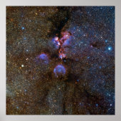 Cats Paw Nebula in Scorpius -宇宙写真 ポスター (正面)