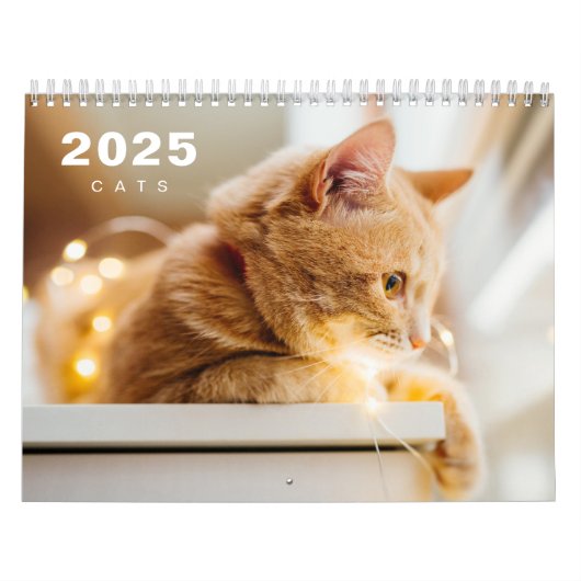Cats Photo モダン 2025カレンダー カレンダー (カバー)