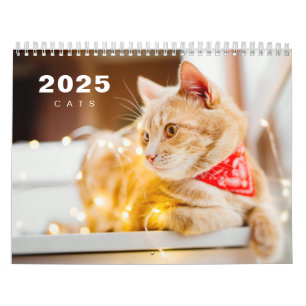 Cats Photo モダン 2025カレンダー カレンダー