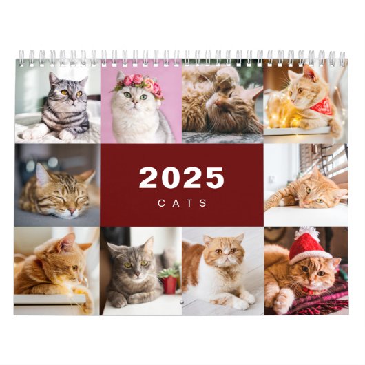 Cats Photo Collage モダン 2025カレンダー カレンダー (カバー)