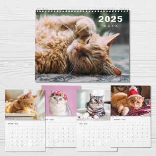 Cats Photo Collage モダン 2025カレンダー カレンダー