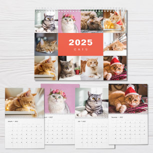 Cats Photo Collage モダン 2025カレンダー カレンダー