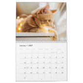 Cats Photo Collage モダン 2025カレンダー カレンダー (1月 2027)