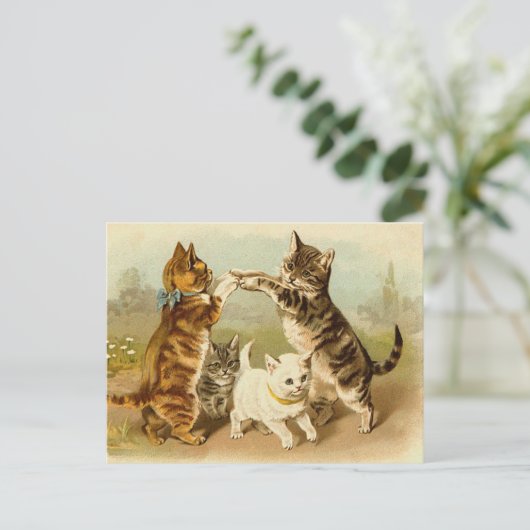 Cats Playing Vintage Illustration ポストカード (スタンド正面)
