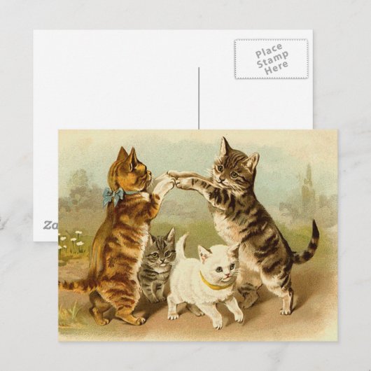 Cats Playing Vintage Illustration ポストカード (正面/裏面)