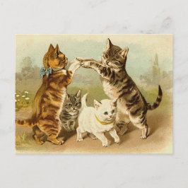 Cats Playing Vintage Illustration ポストカード