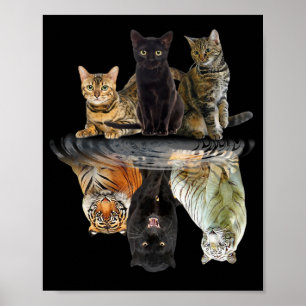 Cats Reflection Friend Cat Lovers Cute Tiger ポスター