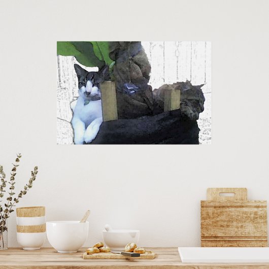 Cats Resting in a Banana Tree ポスター (キッチン)