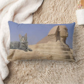 Cats Rule.装飾用クッション ランバークッション (ブランケット)