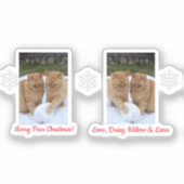 Cats Snowball, Image Names Text, Customize,  シール (正面)
