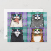 Cats Up To No Goodはがき ポストカード (正面/裏面)