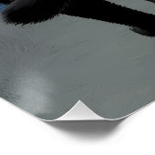  Cats Valentine's Day Holiday Card With Pink Heart ポスター (コーナー)