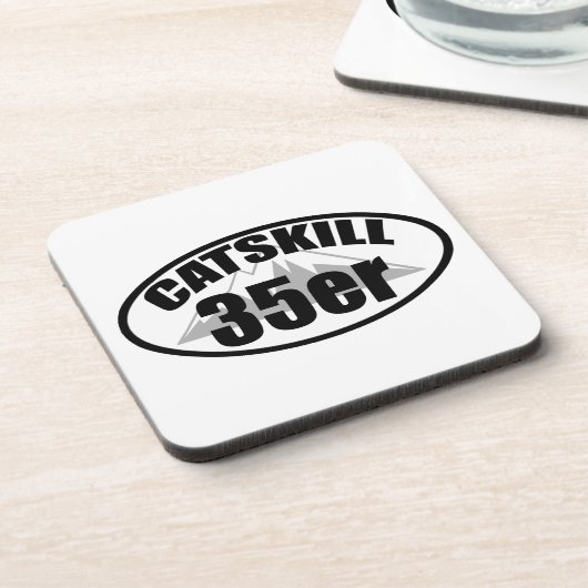 Catskill 35er コースター (左側)