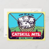 Catskill Mountains, New Yorkポストカード ポストカード (正面/裏面)