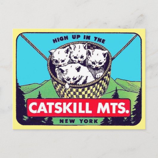 Catskill Mountains, New Yorkポストカード ポストカード (正面)