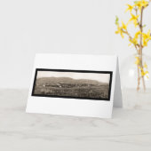 Catskill MtsのハンターNYの写真1898年 カード (黄色い花)