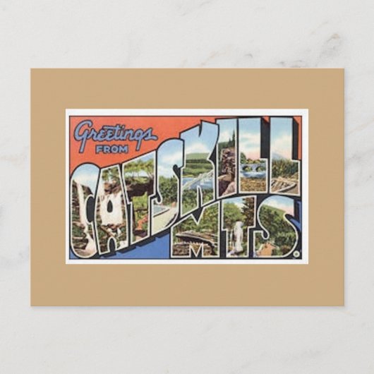 Catskill Mtsヴィンテージはがき ポストカード (正面)