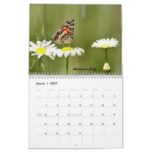 Catskillsの蝶 カレンダー (3月 2027)