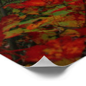 Catskills Autumn Paradiseポスター ポスター (角)