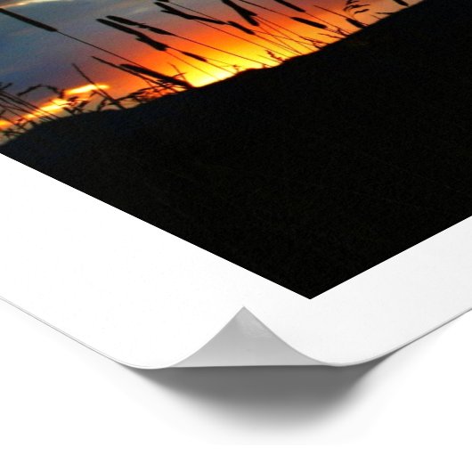 CatTail Sunrise ポスター (角)