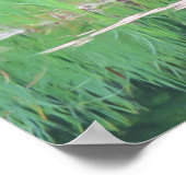 Cattails Pond Reflections Photo Painting ポスター (角)