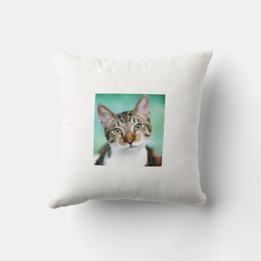 CatThrow Pillow クッション (裏面)