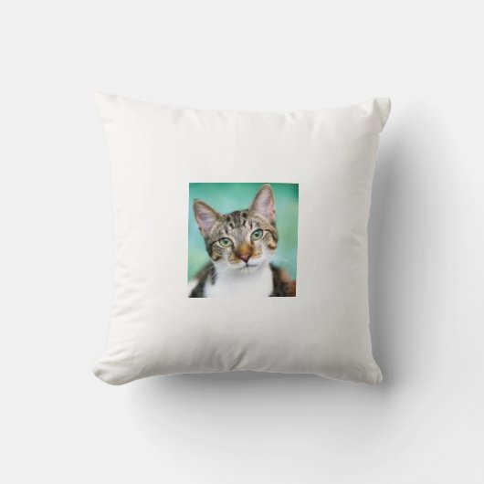 CatThrow Pillow クッション (正面)