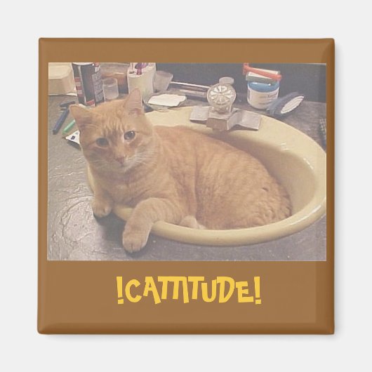 CATTITUDE! （またはクリーンできない理由）磁石 マグネット (正面)