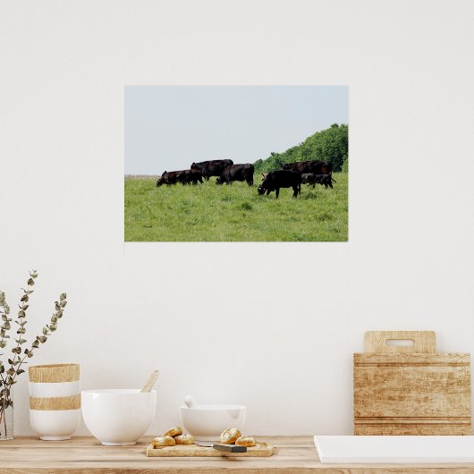 Cattle Black Angus Poster ポスター (キッチン)