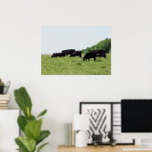 Cattle Black Angus Poster ポスター (ホームオフィス)