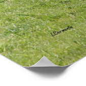 Cattle Black Angus Poster ポスター (角)