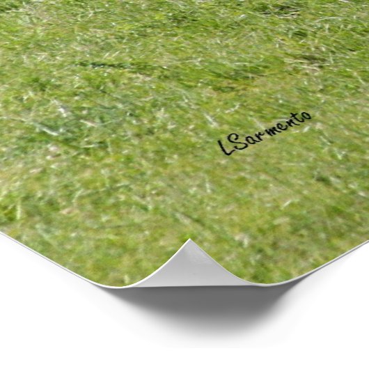 Cattle Black Angus Poster ポスター (角)