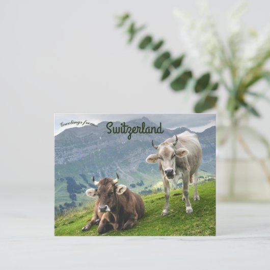 Cattle in Switzerland ポストカード (スタンド正面)